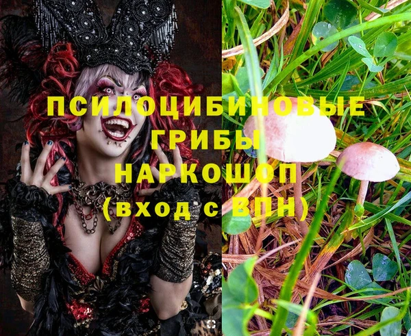 марки lsd Балахна